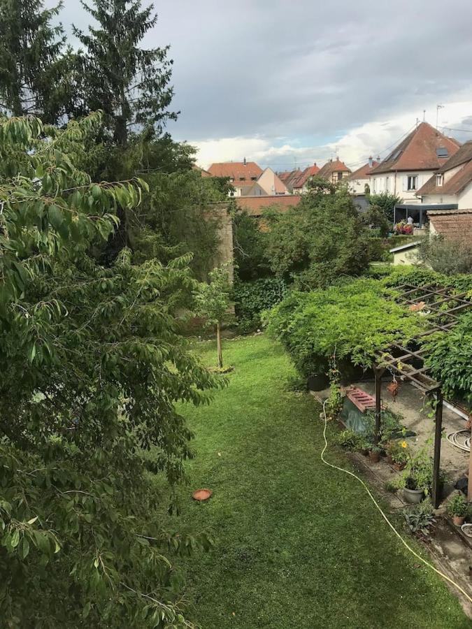 Appartement Chez Fabie Sélestat Eksteriør bilde